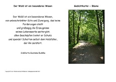 Der-Wald-ist-Budda.pdf